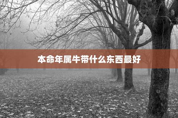 本命年属牛带什么东西最好