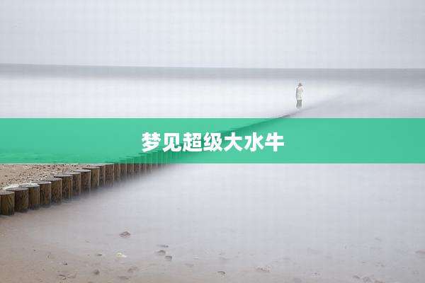 梦见超级大水牛
