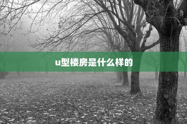 u型楼房是什么样的