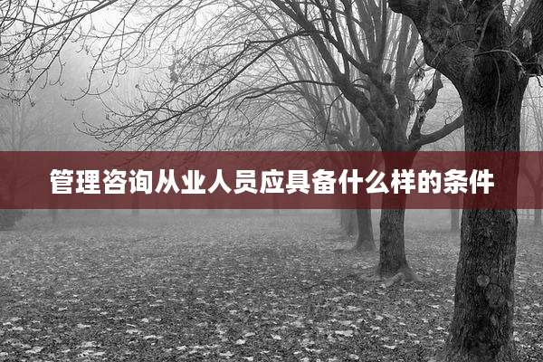 管理咨询从业人员应具备什么样的条件