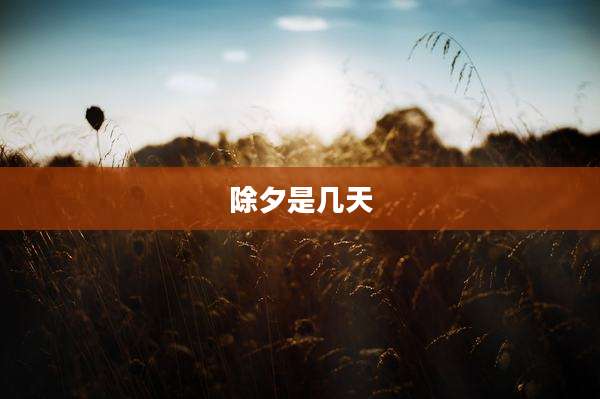 除夕是几天