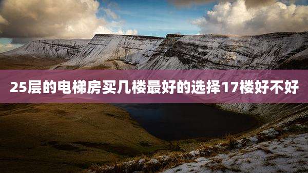 25层的电梯房买几楼最好的选择17楼好不好