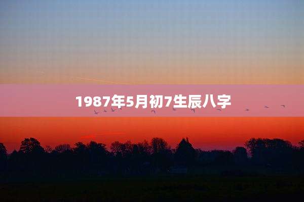 1987年5月初7生辰八字
