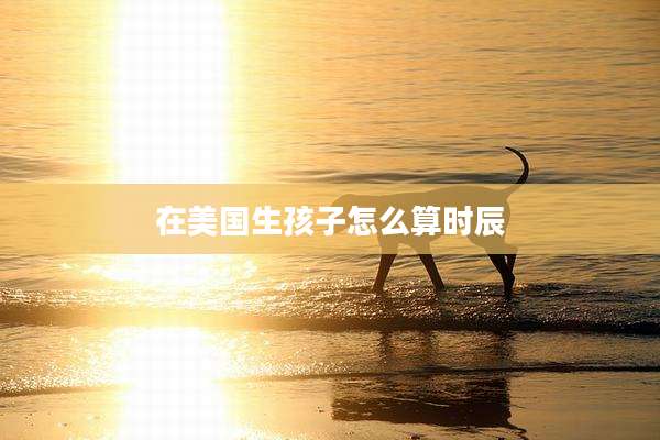 在美国生孩子怎么算时辰
