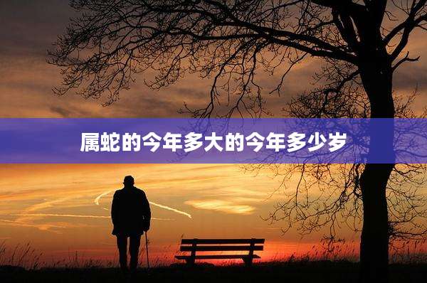 属蛇的今年多大的今年多少岁