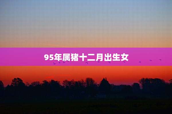 95年属猪十二月出生女