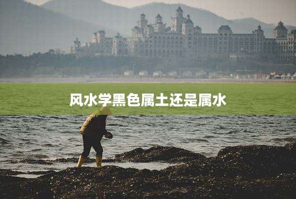 风水学黑色属土还是属水