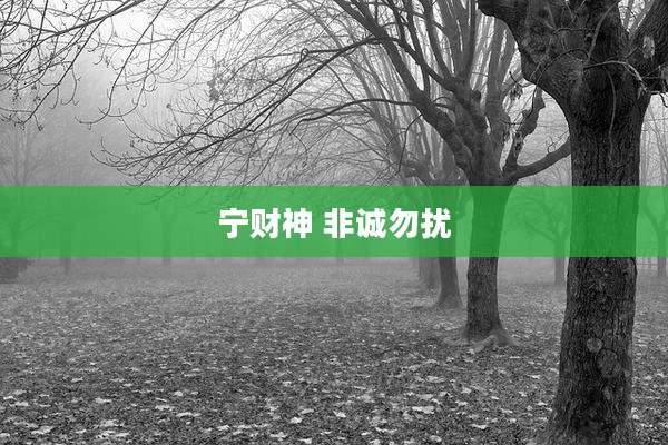 宁财神 非诚勿扰