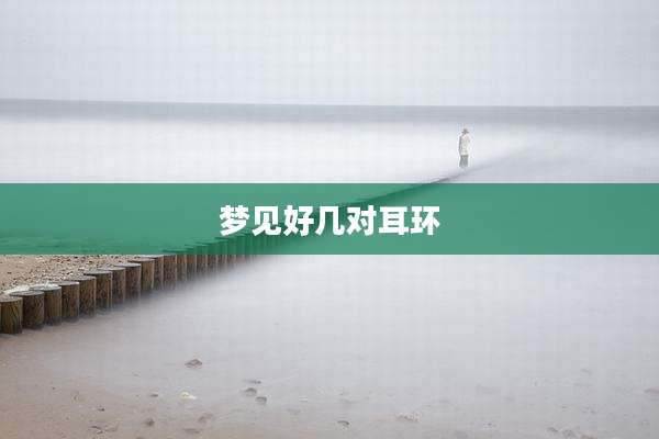 梦见好几对耳环