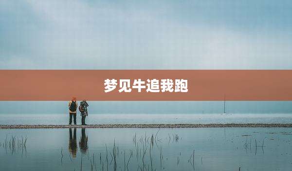 梦见牛追我跑