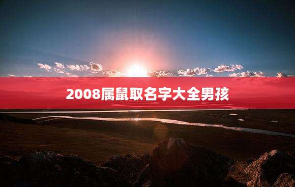 2008属鼠取名字大全男孩