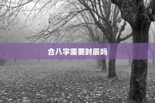 合八字需要时辰吗