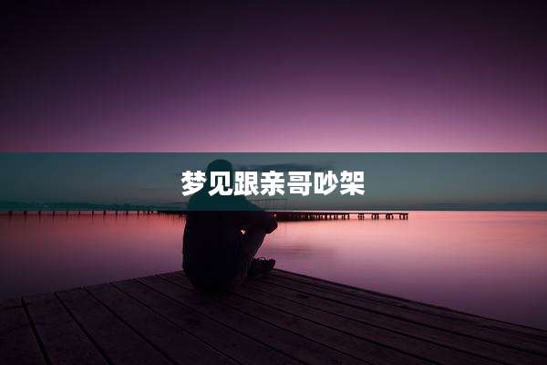 梦见跟亲哥吵架