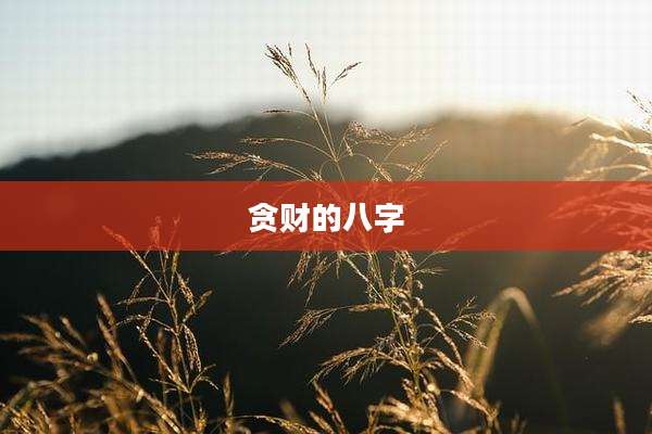 贪财的八字