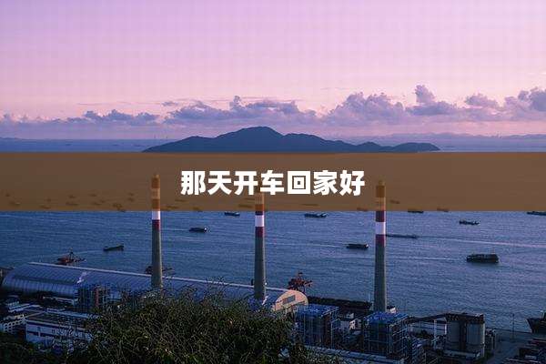 那天开车回家好