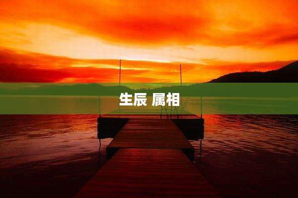 生辰 属相