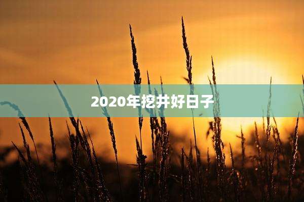 2020年挖井好日子