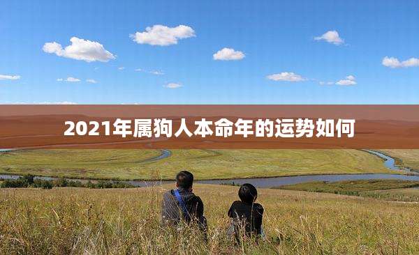 2021年属狗人本命年的运势如何