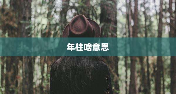 年柱啥意思