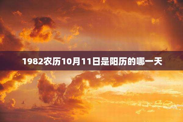 1982农历10月11日是阳历的哪一天