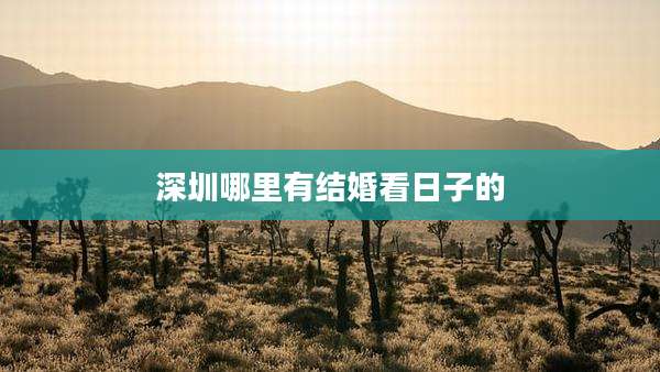深圳哪里有结婚看日子的