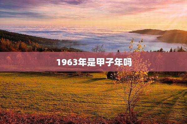 1963年是甲子年吗