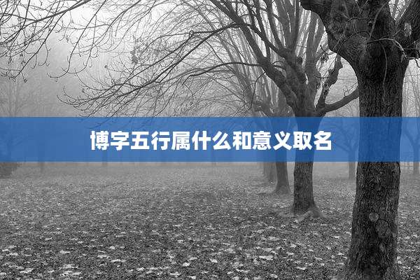 博字五行属什么和意义取名