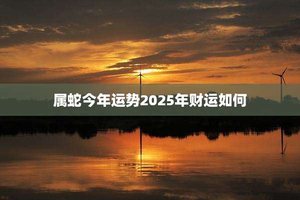 属蛇今年运势2025年财运如何
