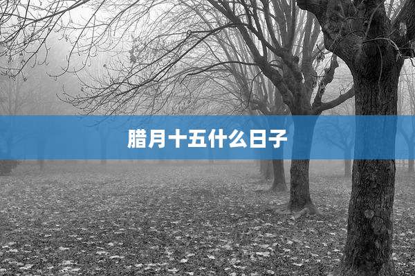 腊月十五什么日子