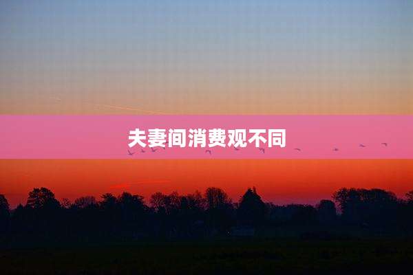 夫妻间消费观不同