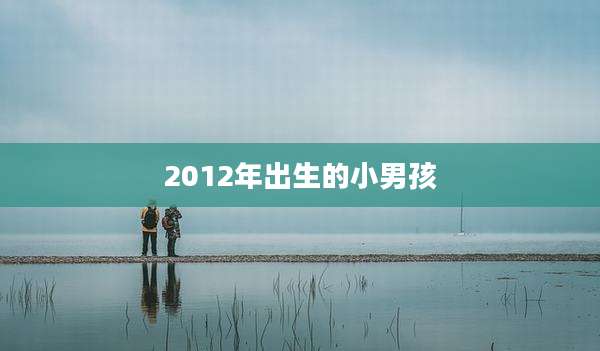 2012年出生的小男孩