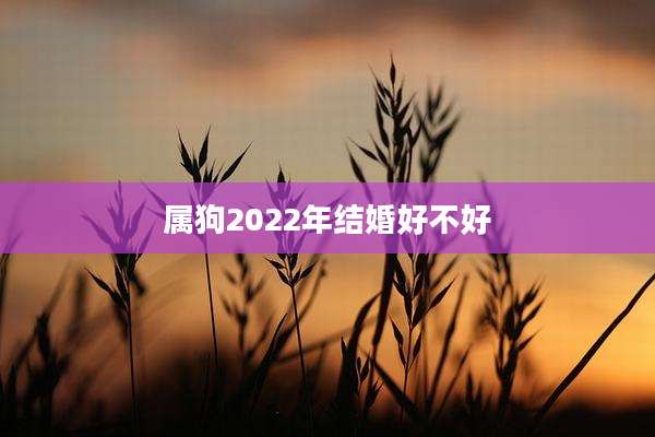属狗2022年结婚好不好