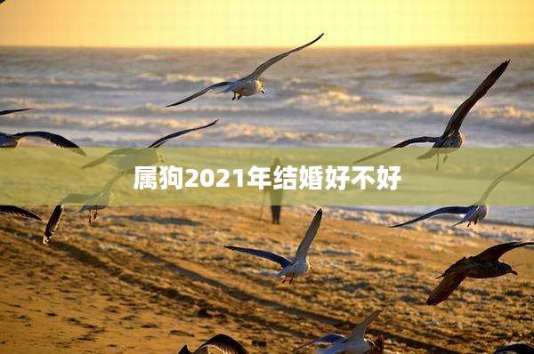 属狗2021年结婚好不好