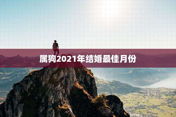 属狗2021年结婚最佳月份