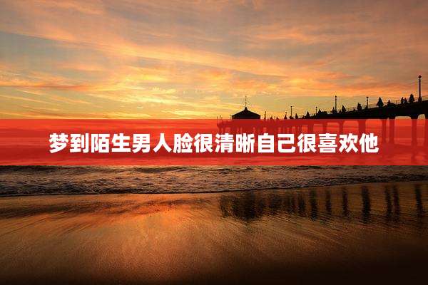 梦到陌生男人脸很清晰自己很喜欢他