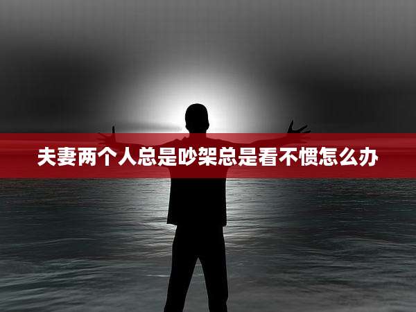 夫妻两个人总是吵架总是看不惯怎么办