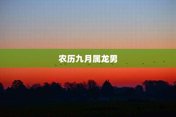 农历九月属龙男