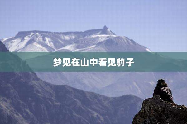 梦见在山中看见豹子