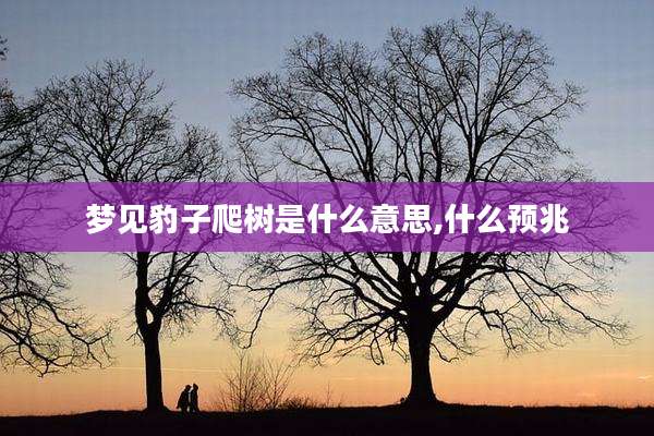 梦见豹子爬树是什么意思,什么预兆