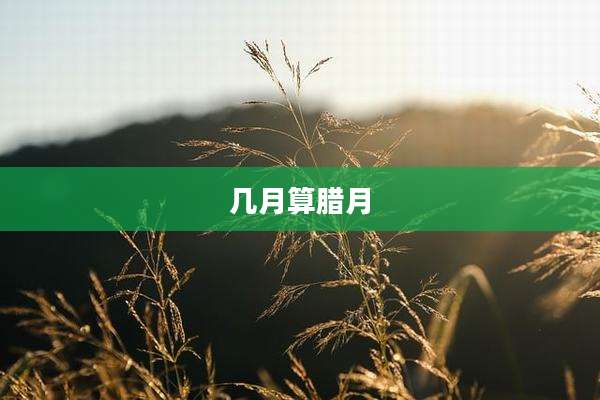 几月算腊月