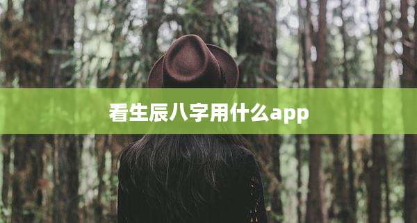 看生辰八字用什么app