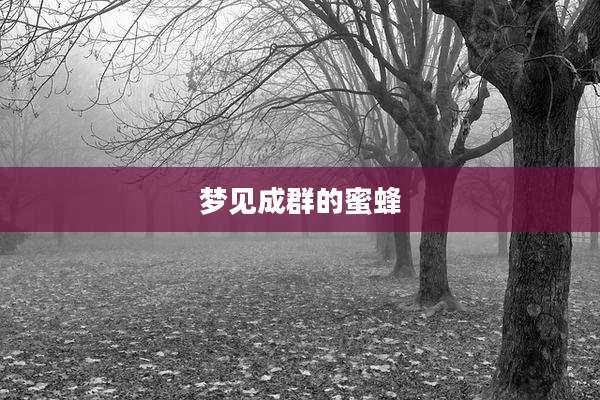 梦见成群的蜜蜂