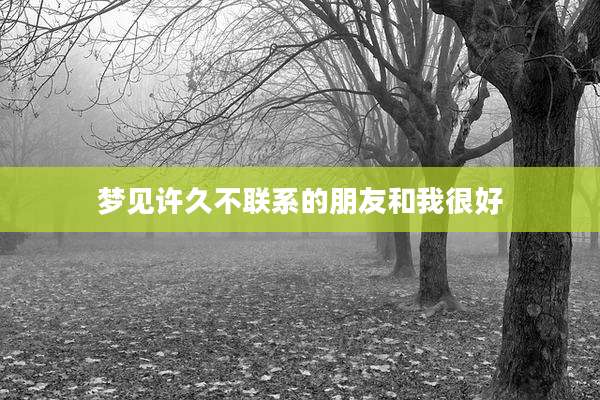 梦见许久不联系的朋友和我很好