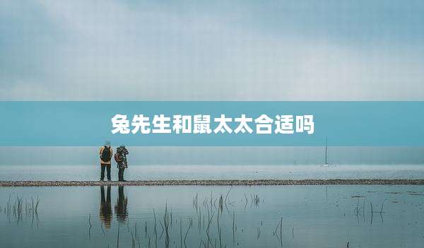 兔先生和鼠太太合适吗