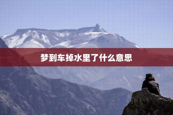 梦到车掉水里了什么意思