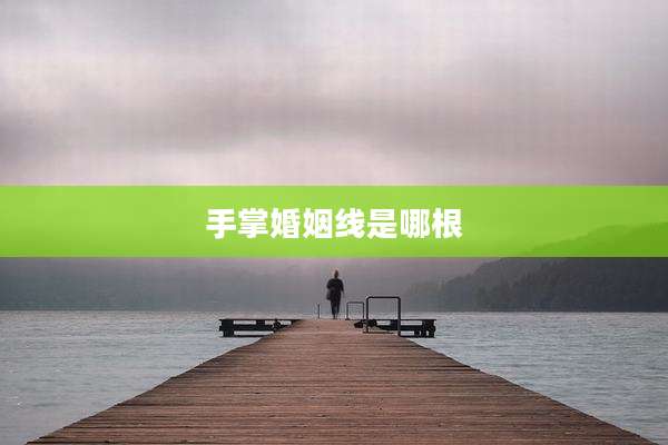 手掌婚姻线是哪根