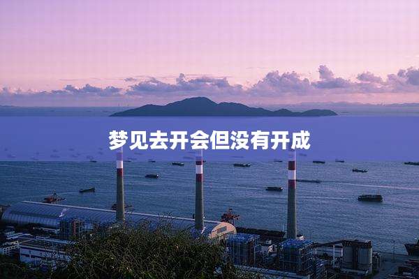 梦见去开会但没有开成