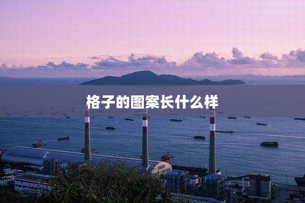 格子的图案长什么样