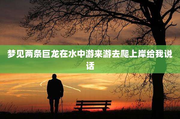 梦见两条巨龙在水中游来游去爬上岸给我说话