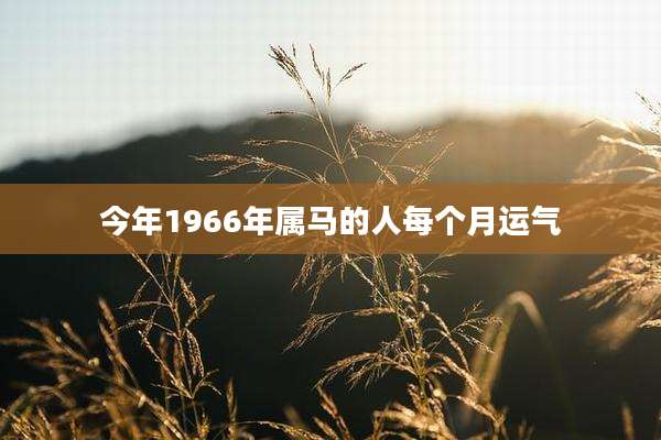 今年1966年属马的人每个月运气